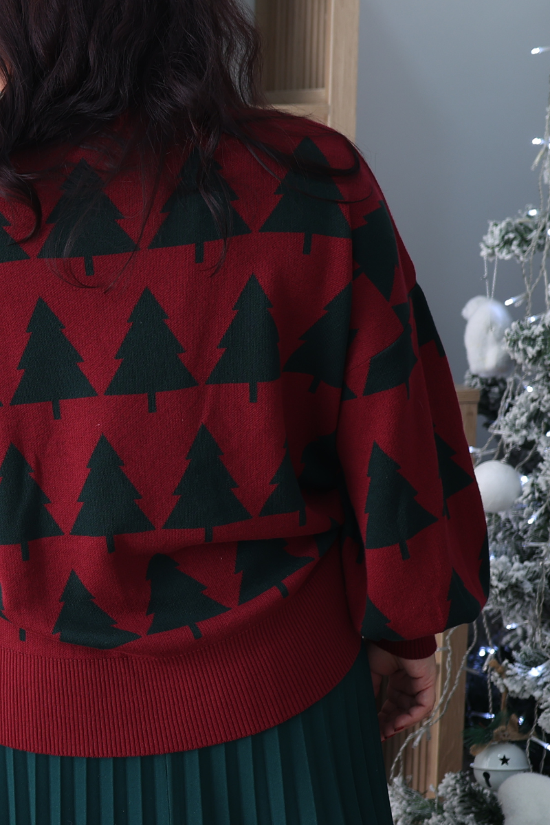 Pull de Noël Sapin – RUGA